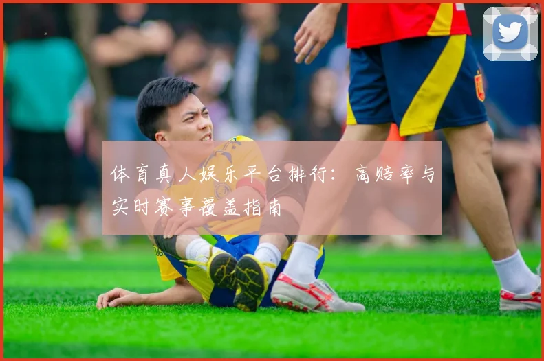 体育真人娱乐平台排行:高赔率与实时赛事覆盖指南