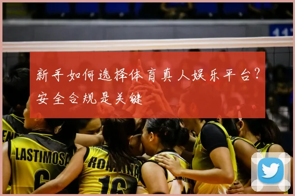 新手如何选择体育真人娱乐平台？安全合规是关键