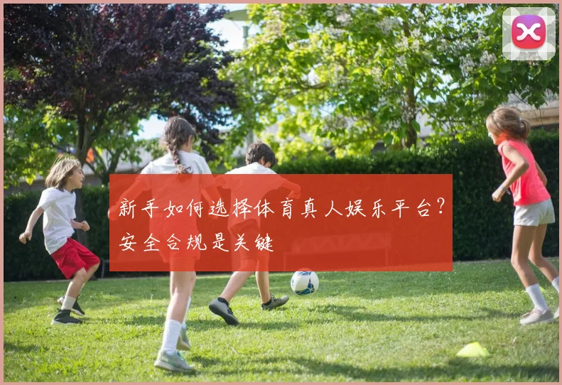 新手如何选择体育真人娱乐平台？安全合规是关键