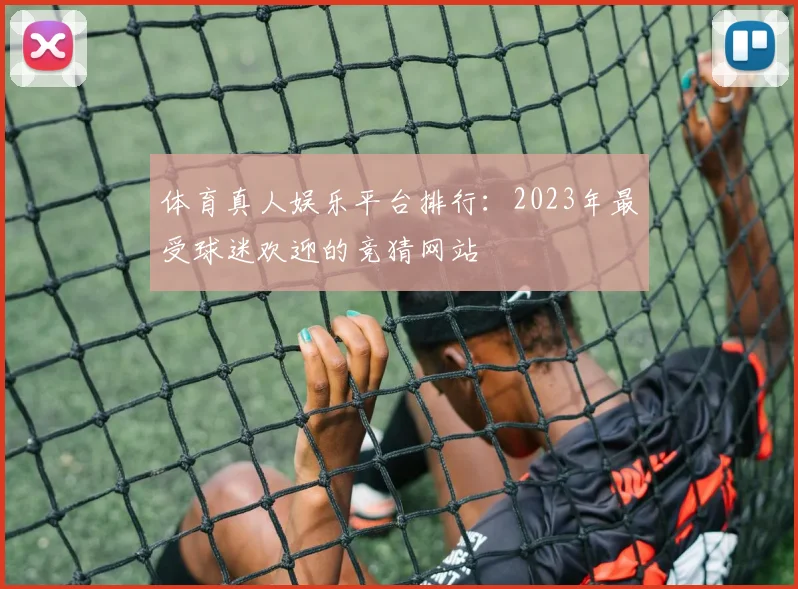 体育真人娱乐平台排行：2023年最受球迷欢迎的竞猜网站