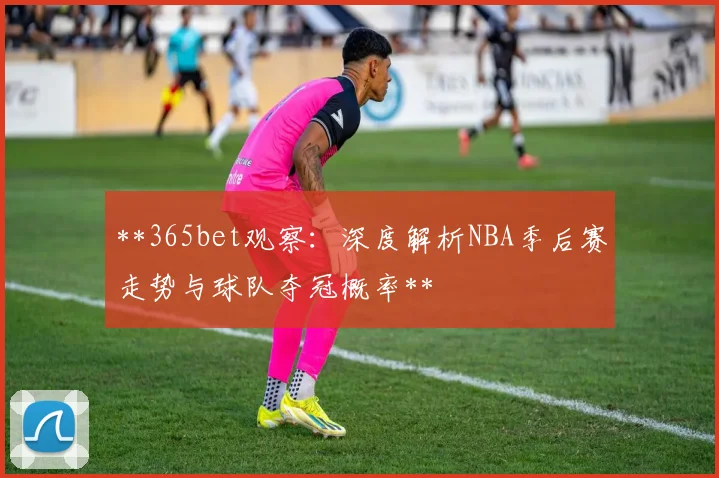 **365bet观察：深度解析NBA季后赛走势与球队夺冠概率**
