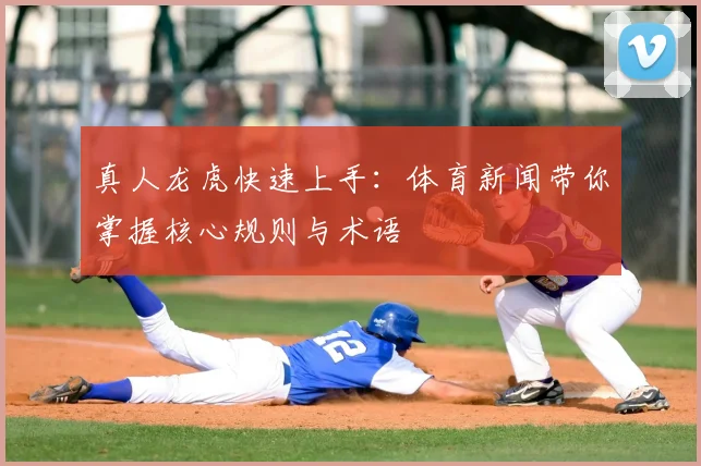 真人龙虎快速上手：体育新闻带你掌握核心规则与术语